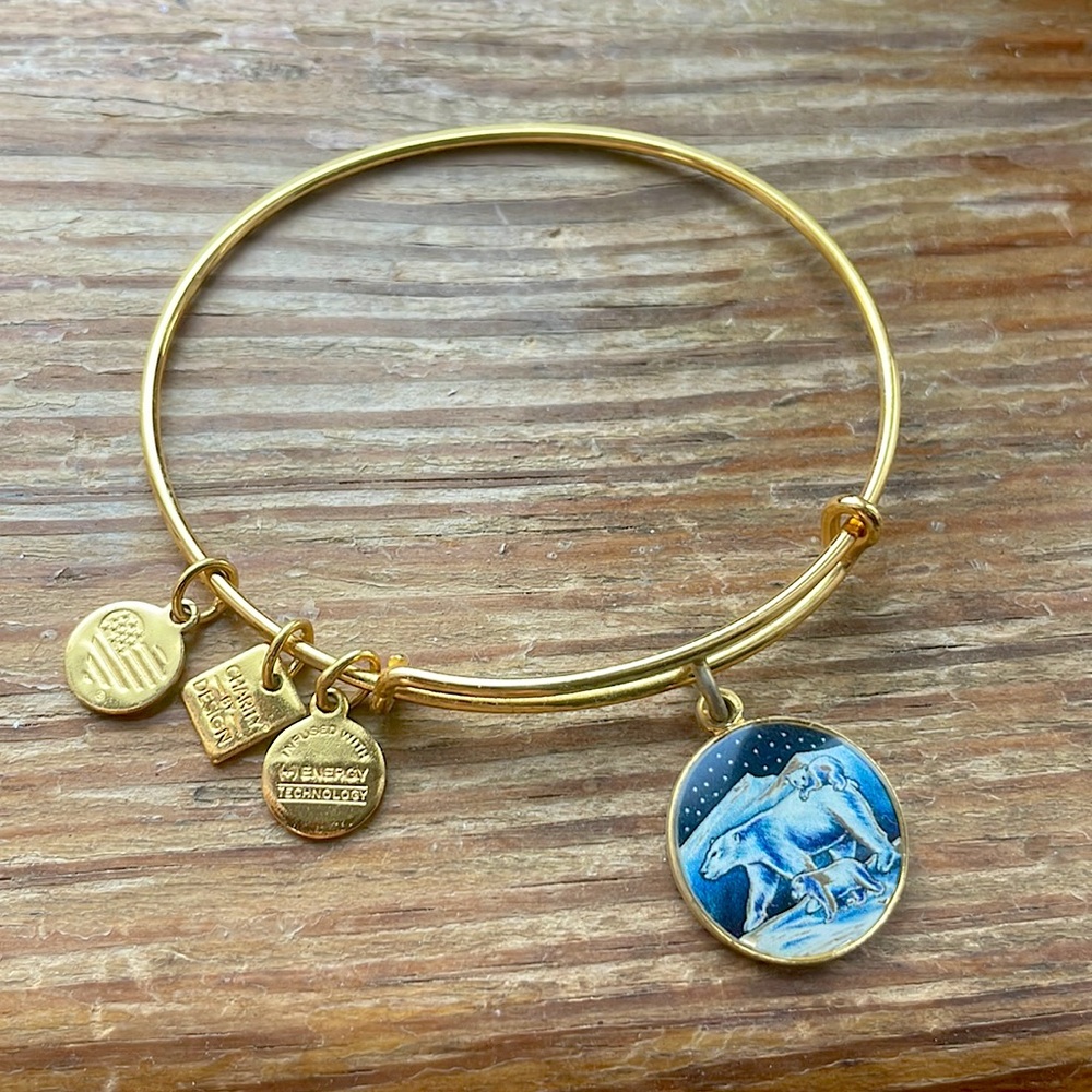 Alex and Ani Bracelet